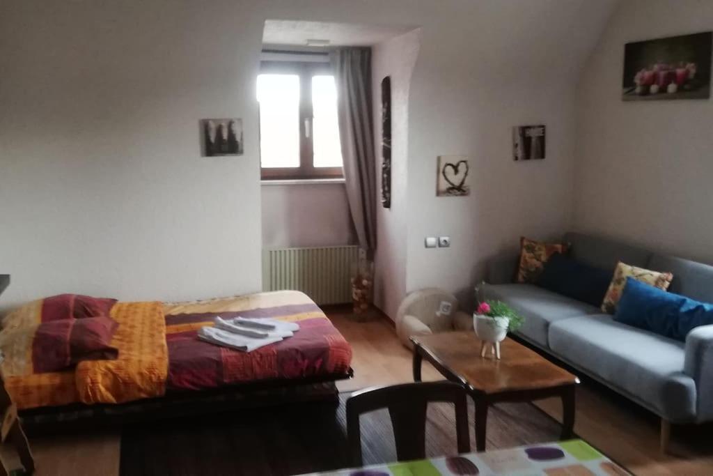 Chez Mamilou Apartment Soufflenheim ภายนอก รูปภาพ