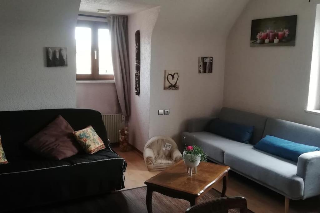 Chez Mamilou Apartment Soufflenheim ภายนอก รูปภาพ